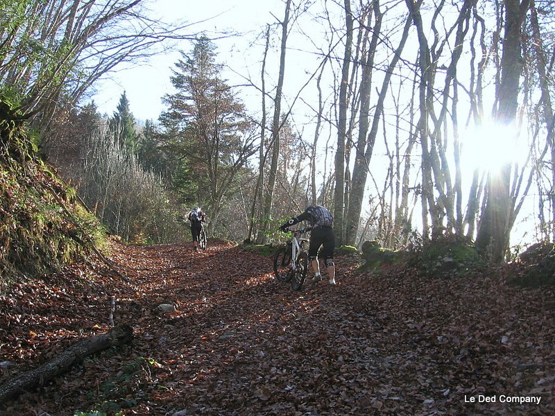 #17 Pascaux : Un peu de poussette sur ces pistes vallonées en forêt Pascaux : Un peu de poussette sur ces pistes vallonées en forêt