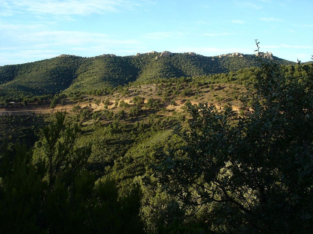 Les Maures : Des chênes et des terres jaunes