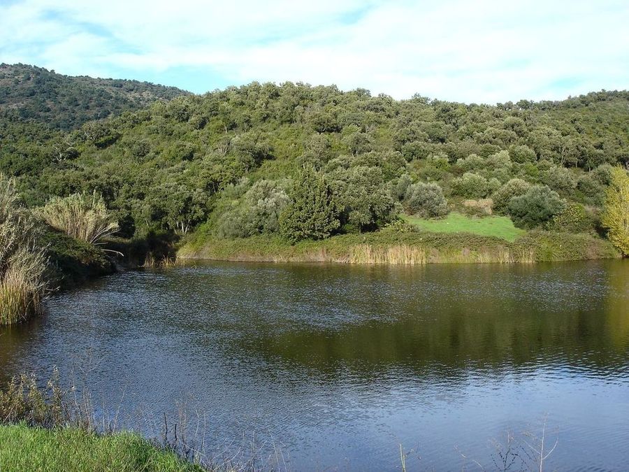 Etang : Petite retenue d'eau en bas du vallon du Jau du Péu