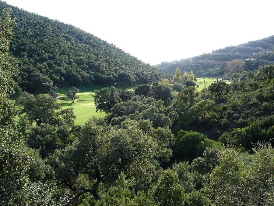 Excès de verdure : Golf de Valcros