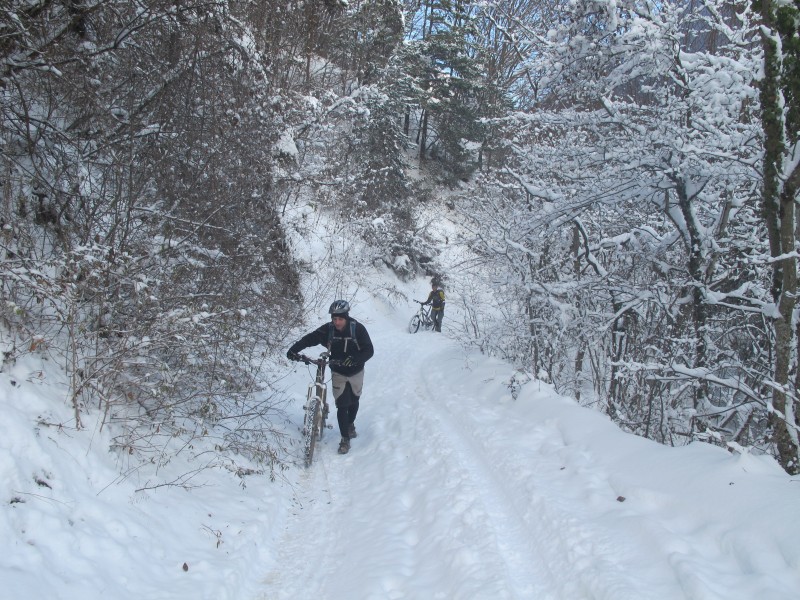 #5 la piste la piste