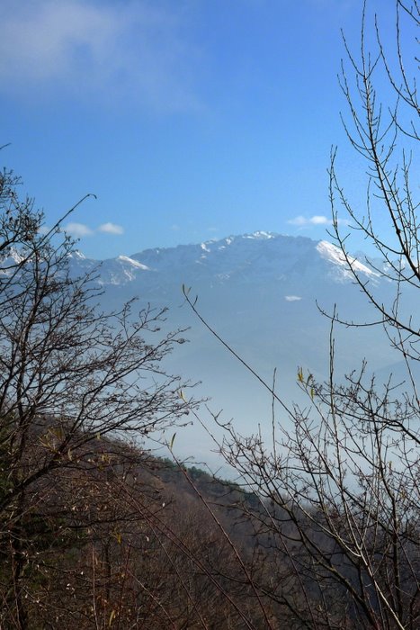 #2 Belledone : Une légère brume nappe la vallée et nous laisse entrevoir les montagnes d Belledone : Une légère brume nappe la vallée et nous laisse entrevoir les montagnes d'en face. Il manque de la neige...