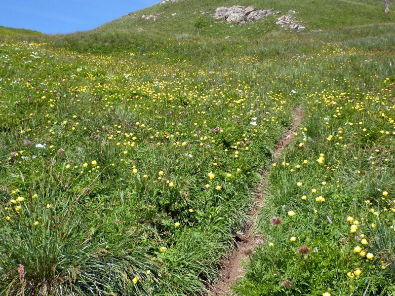 Punta Colour : Sympathique "petit sentier ludique et bucolique" (terminologie nettement plus sympa que single track !!)