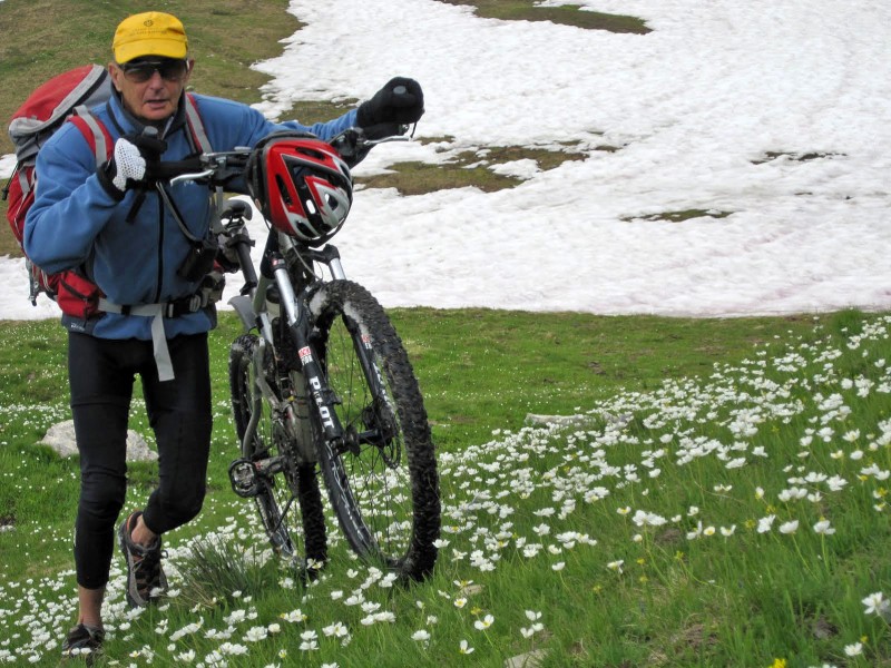 Altipiano della gardetta : La piste étant occupée par les névés, force est de pousser à travers ces quelques fleurs