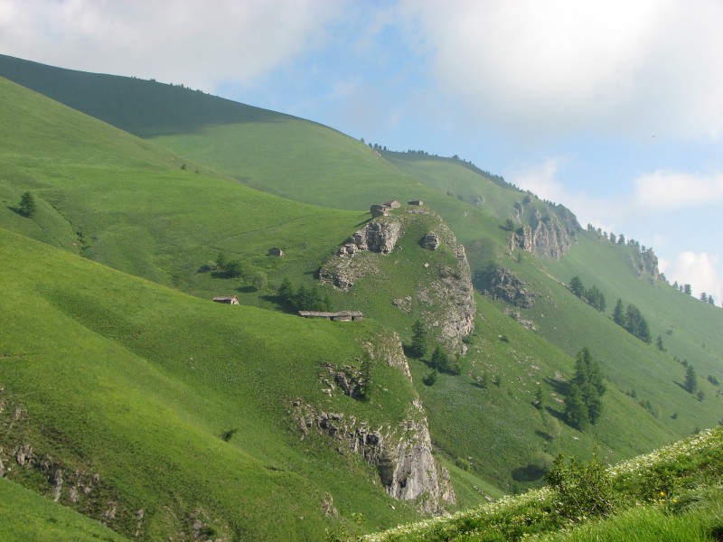 Vallone del Tibert : Qui a dit que les Alpes du Sud étaient sèches. En fait le versant italien exposé à l'humidité venant de la plaine du Po est beaucoup plus vert que la vallée de l'Ubaye située à la même latitude