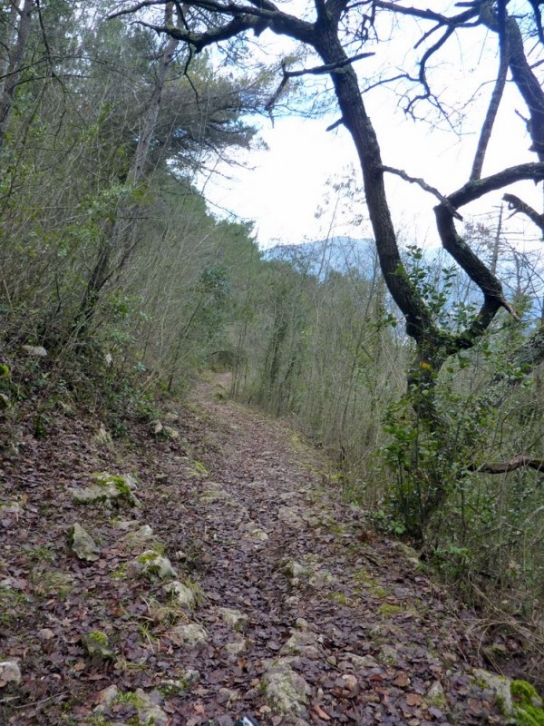 #2 Ubac du col d Ubac du col d'Eze : Bien gras et zippant