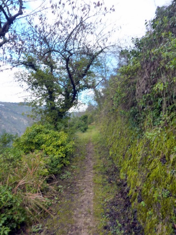 #4 Sentier de Figour : Humide à souhait Sentier de Figour : Humide à souhait