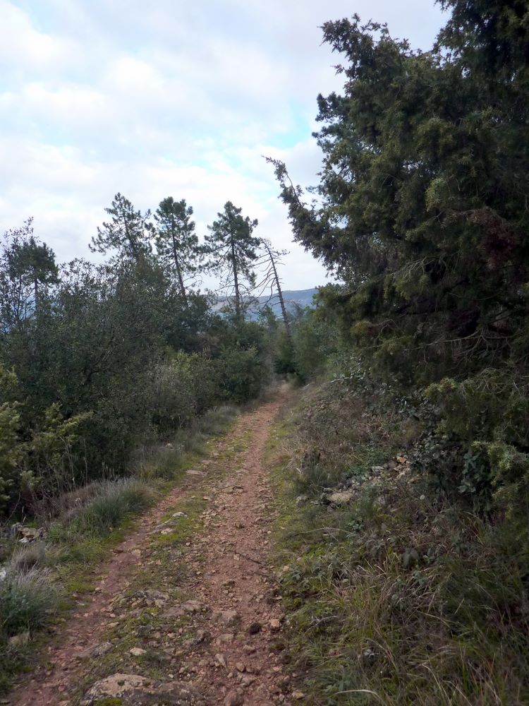 #6 GR du Plateau Tercier : Ambiance un peu glauque GR du Plateau Tercier : Ambiance un peu glauque