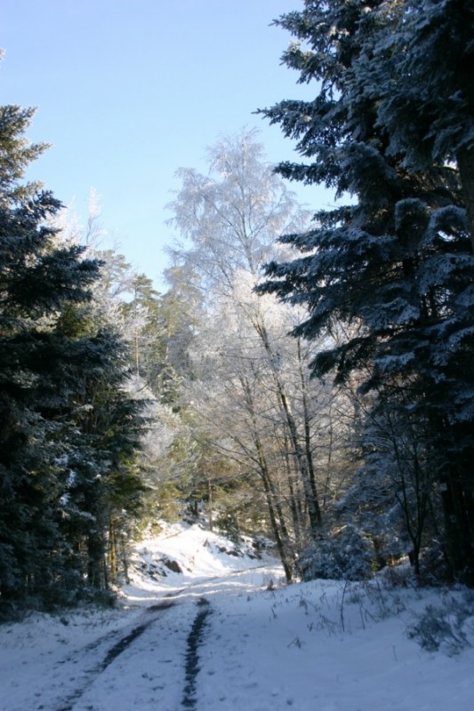 Col de Trace : Arrivée au col de Trace