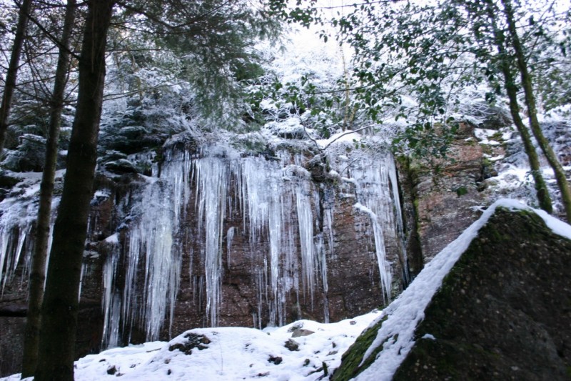 Cascade de glace : Superbes cascades de glace (roche Faucompierre)