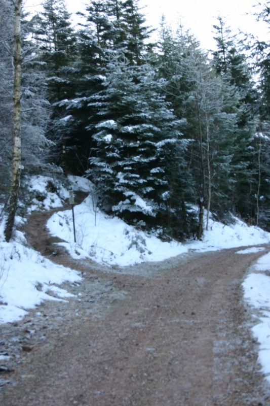 Sentier : J'attaque la montée par le sentier à gauche