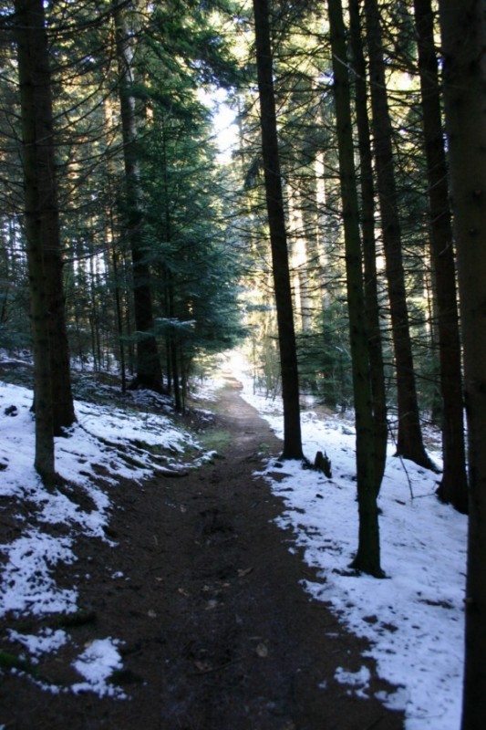 #8 sentier2 : Le retour c sentier2 : Le retour c'est par là