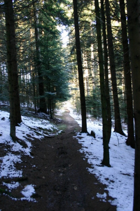 sentier2 : Le retour c'est par là