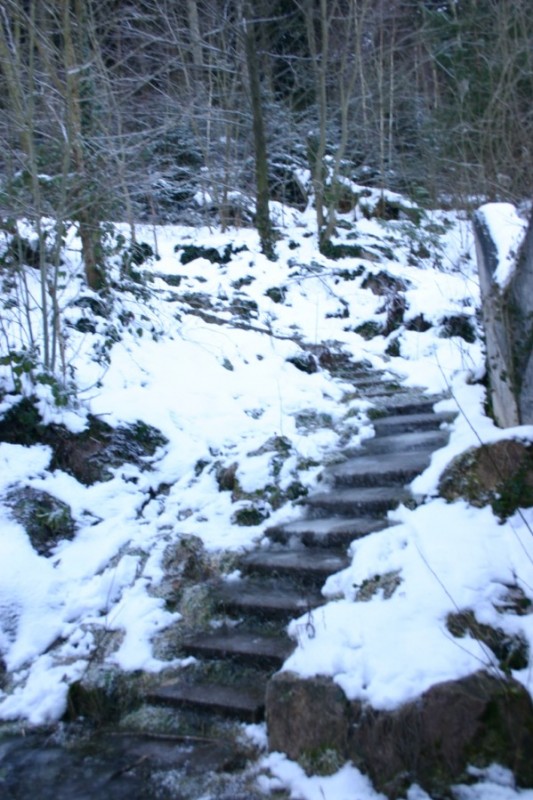 Escalier : D'habitude, je prends l'escalier mais là j'ai hésité ...