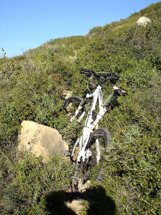#14 Végétation envahissante : Pousse ton vélo! Végétation envahissante : Pousse ton vélo!
