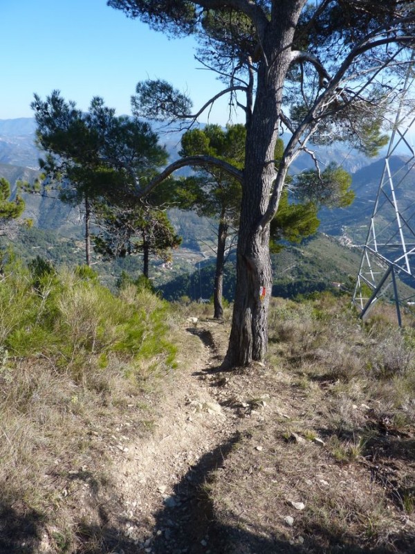 #13 Sentier creusé : Les motos ont fait des ravages Sentier creusé : Les motos ont fait des ravages