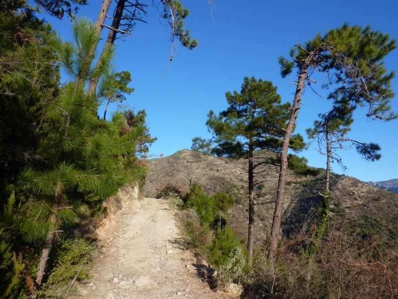 #1 La vrai montée commence : Quelle est longue cette piste La vrai montée commence : Quelle est longue cette piste