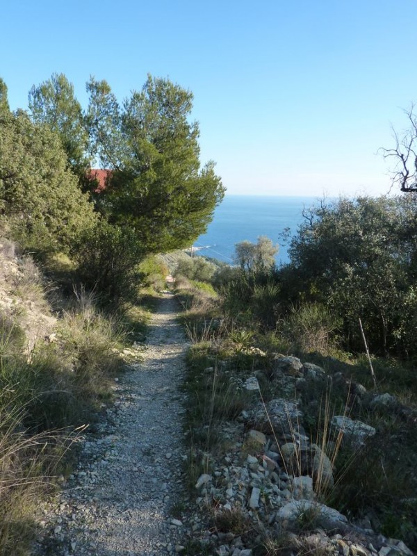#24 Plongeon sur la mer : Ça sent la fin Plongeon sur la mer : Ça sent la fin