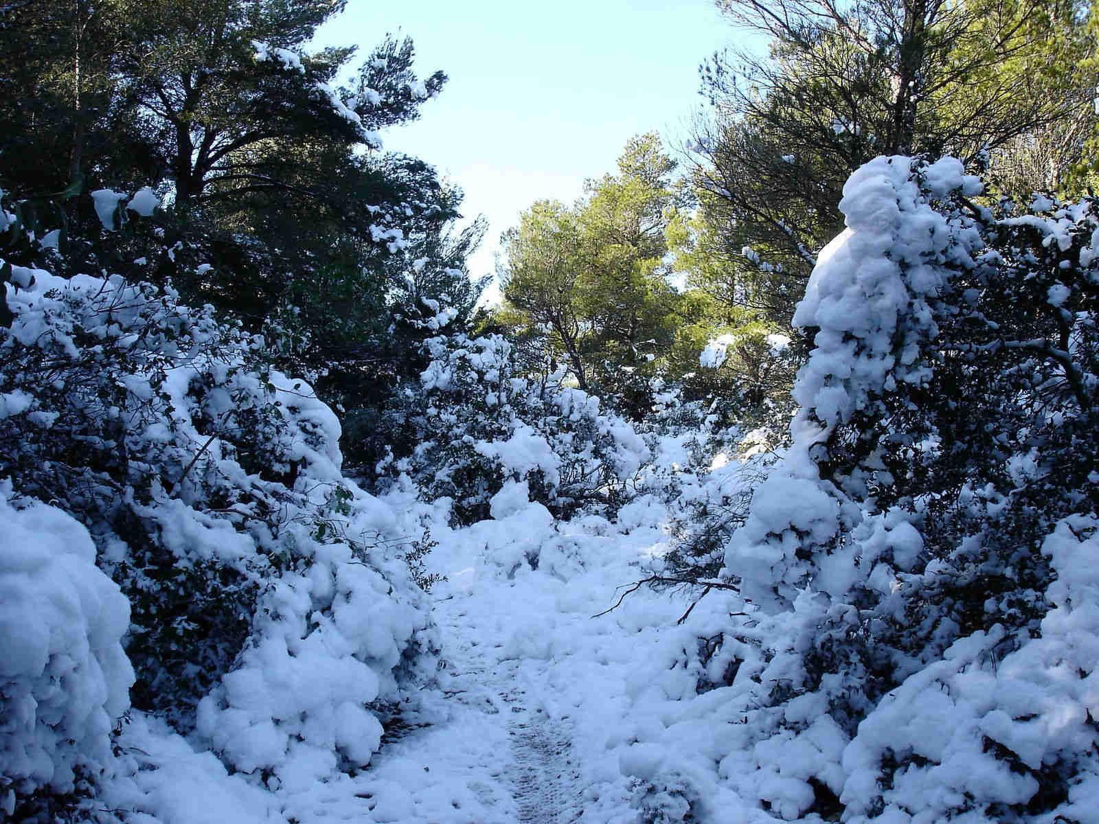 #5 Coton : Sur le sentier en balcon au-dessus de Roquefort Coton : Sur le sentier en balcon au-dessus de Roquefort