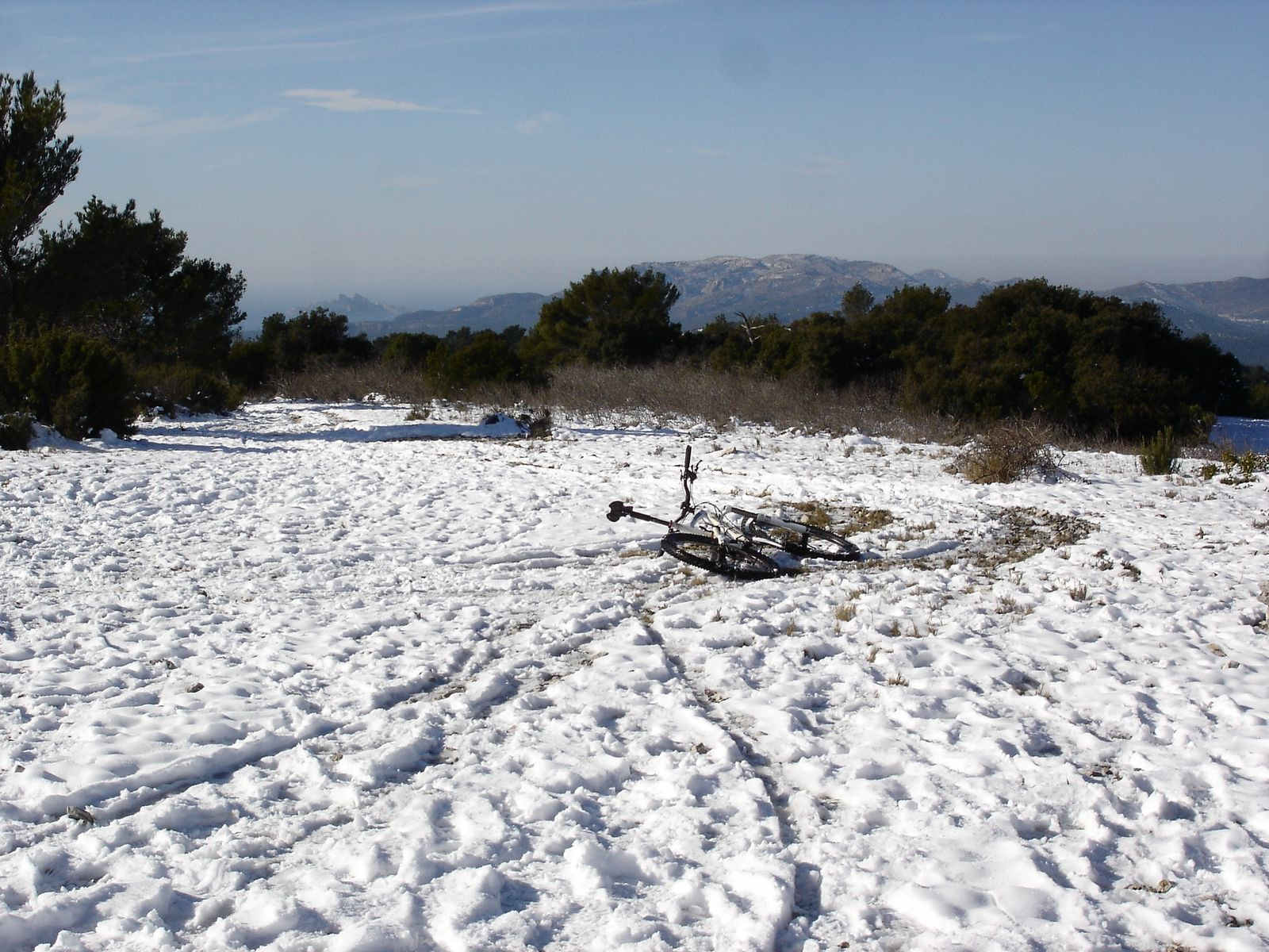 #3 Blanc comme neige : Le Zesty, dans son élément? Blanc comme neige : Le Zesty, dans son élément?