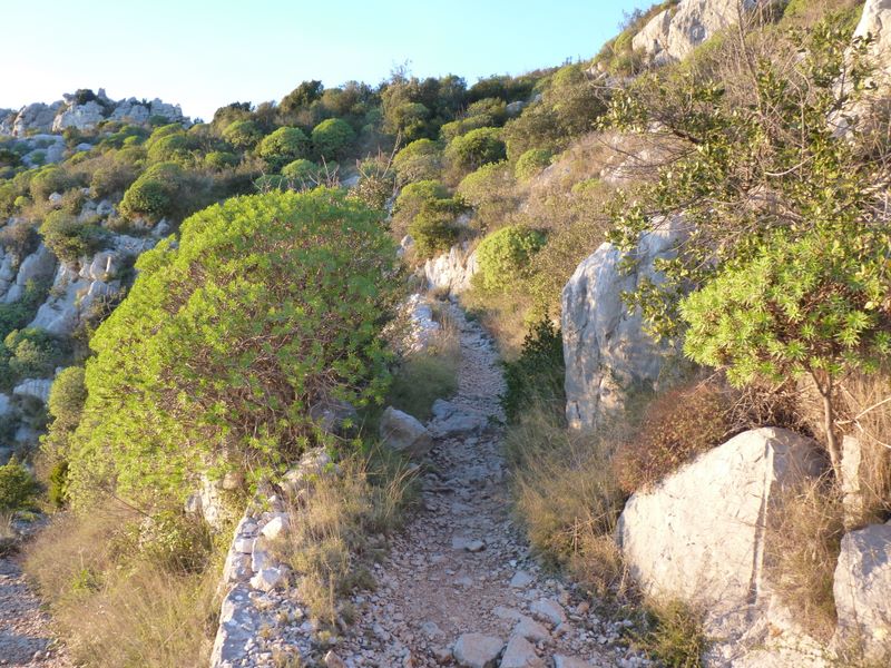 #12 Sentier la Loubière : Sentier permettant d Sentier la Loubière : Sentier permettant d'accéder aux falaises de la Loubière.