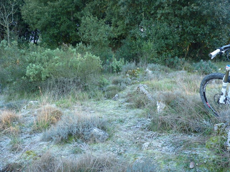 #4 Mont Bataille : 16h00, Givre au départ de la montée au Mont Bataille. Mont Bataille : 16h00, Givre au départ de la montée au Mont Bataille.