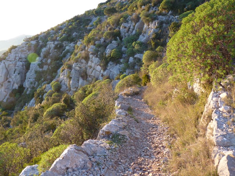 #11 Sentier de la Loubière : Deuxième partie de l Sentier de la Loubière : Deuxième partie de l'ancienne DH, la plus roulante.