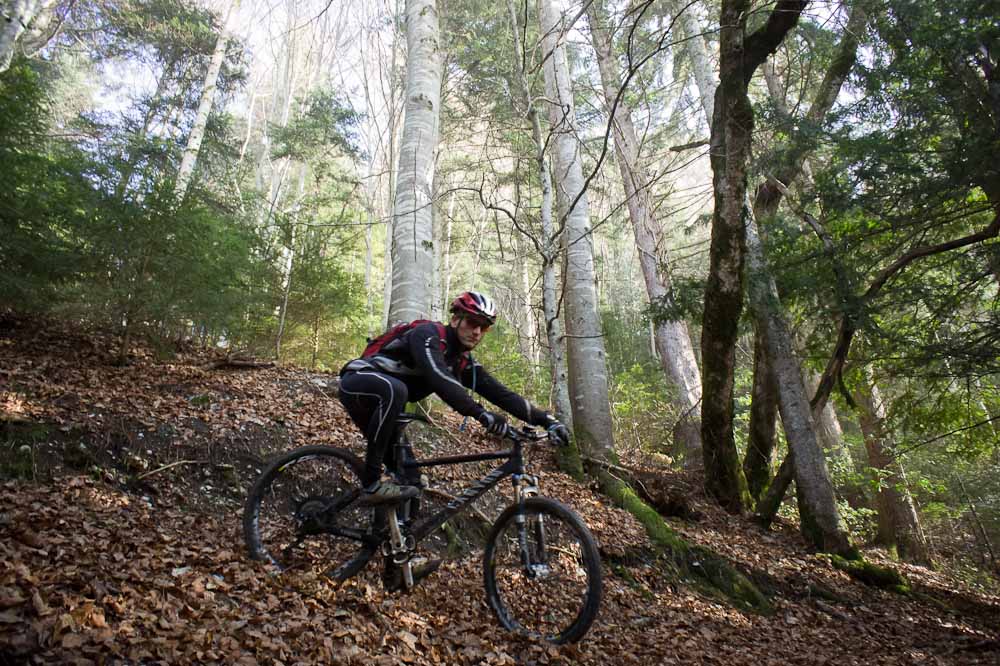 Tof dans la descente : sur Rovagny, bien séche