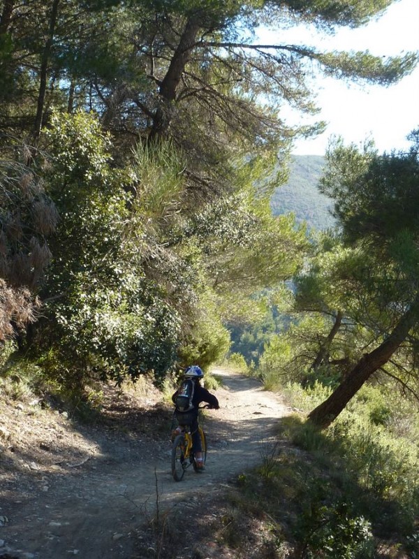 #2 Sentier bas : Mais rapidement, le sentier est roulant et Danaé pédale Sentier bas : Mais rapidement, le sentier est roulant et Danaé pédale