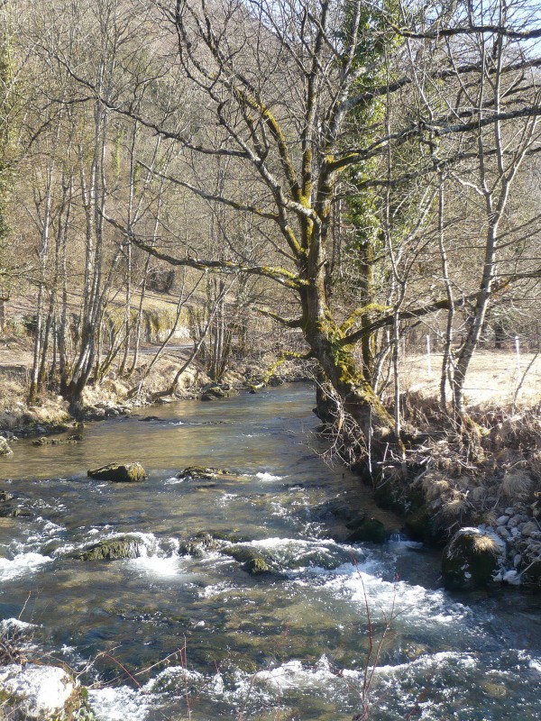 #5 L L'eau morte : Au bord de l'eau morte entre Le Villard et Verthier