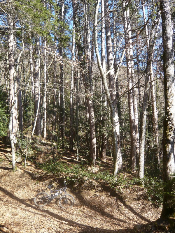 Sentier de descente : Entre La Forclaz de Montmin et Le Villard