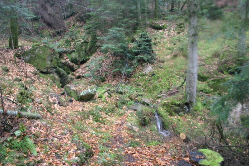 Cascade : Sympa ce passage sur le ruisseau...