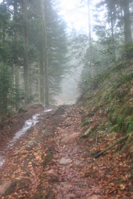 #10 Chemin : Remonté vers la Roche mère Henry...à partir le là la galère commence...plus de photos ! Chemin : Remonté vers la Roche mère Henry...à partir le là la galère commence...plus de photos !