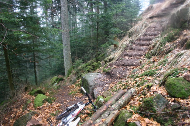 Escalier : Là je suis descendu du vélo