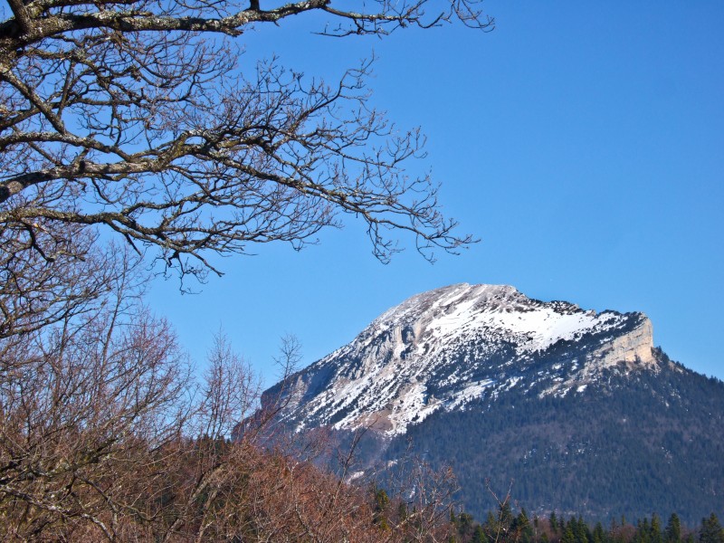 #5 Chamechaude : Mon dieu, la neige fait de la résistance ! Chamechaude : Mon dieu, la neige fait de la résistance !