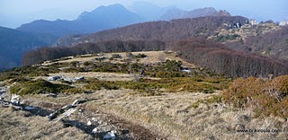 #8 Les 3 Becs : Vue sur la forêt de Saou et l Les 3 Becs : Vue sur la forêt de Saou et l'itinéraire de descente