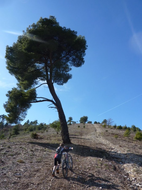 #5 Bientôt finie : Ça pousse Bientôt finie : Ça pousse