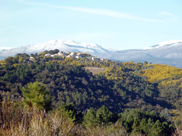 #3 Village de Tanneron : En pleine saison du mimosa donc en pleine activité pour les arboriculteurs. Village de Tanneron : En pleine saison du mimosa donc en pleine activité pour les arboriculteurs.