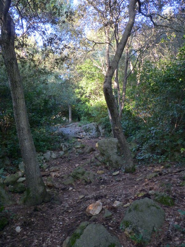 #6 Sentier des Charbonniers. : Début de la partie plus cassante. Sentier des Charbonniers. : Début de la partie plus cassante.