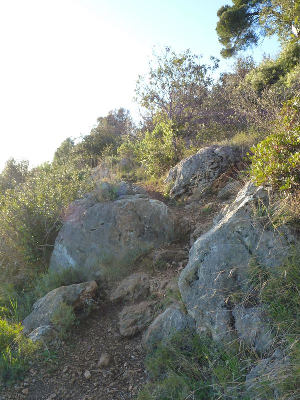 #9 Sentier des Charbonniers. : Partie basse Sentier des Charbonniers. : Partie basse