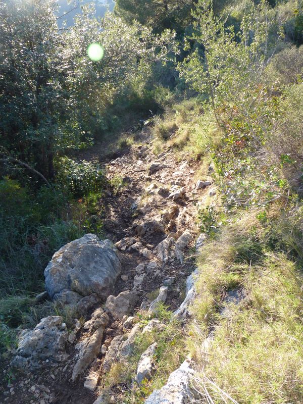 #7 Sentier des Charbonniers. : Cailloux agressifs. Sentier des Charbonniers. : Cailloux agressifs.
