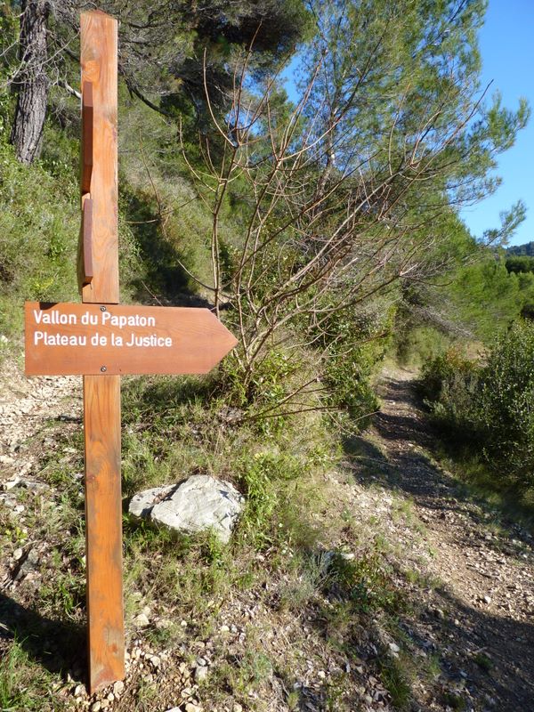 #4 Sentier du fort de la drête : Jonction entre les sentiers de Papaton et du fort. Sentier du fort de la drête : Jonction entre les sentiers de Papaton et du fort.