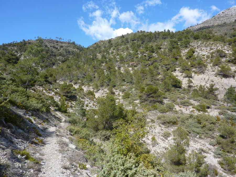 #19 jonction : La jonction avec le sentier descendant directement du Col de la Moutète marque le retour à la phase descendante. jonction : La jonction avec le sentier descendant directement du Col de la Moutète marque le retour à la phase descendante.