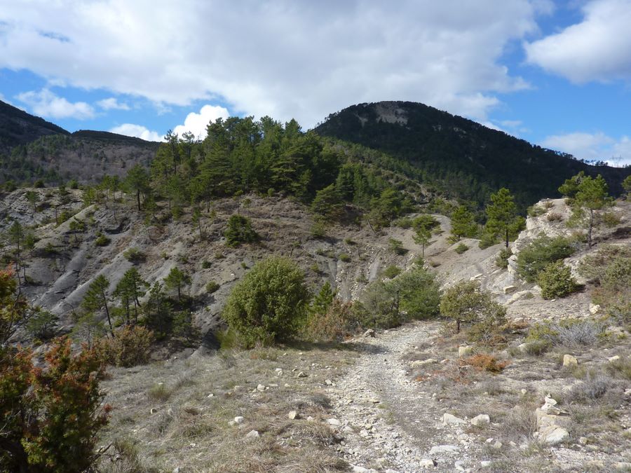 #11 Contours Cime du Diamant : Toujours roulant Contours Cime du Diamant : Toujours roulant