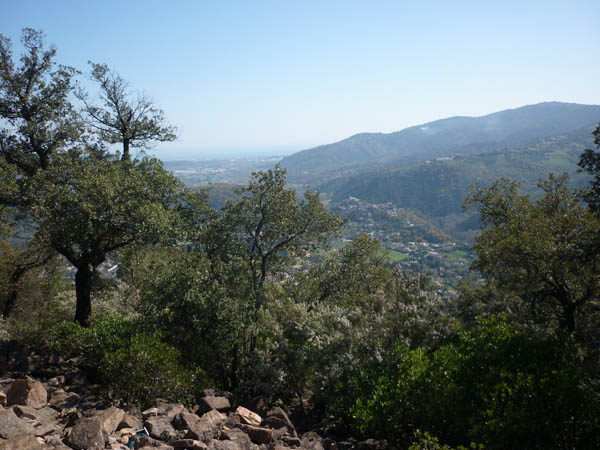 #1 Sommet de Peygros : VTT vue mer et Tanneron, y Sommet de Peygros : VTT vue mer et Tanneron, y'a pire !