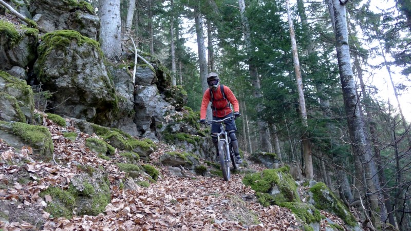 #5 Un bon single dans les arbres : c Un bon single dans les arbres : c'est quand même bien sympa