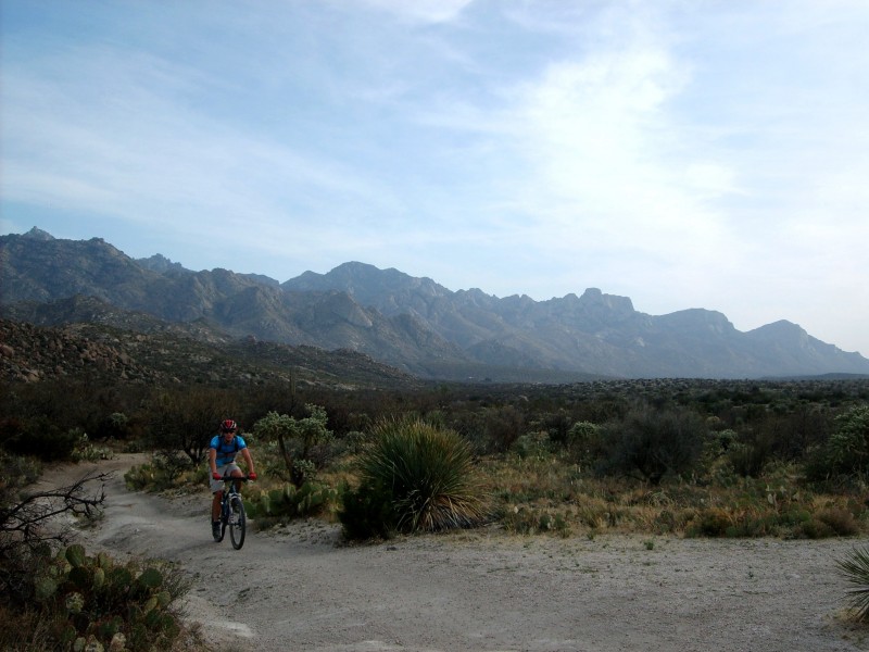 #1 David : et les beautiful Santa Catalina Mountains David : et les beautiful Santa Catalina Mountains