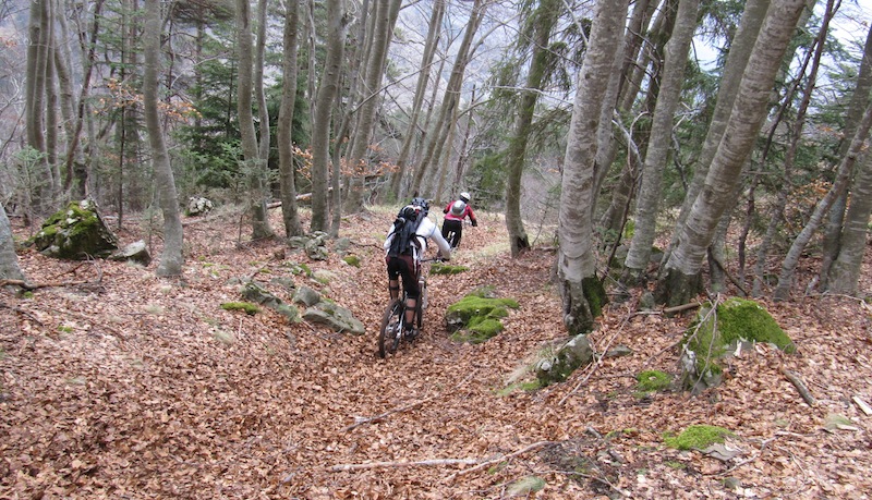 #4 Descente BIS des feuilles : Tip top cette descente Descente BIS des feuilles : Tip top cette descente