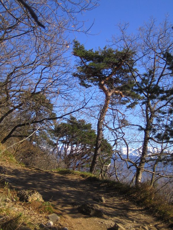 #2 Bifurcation : Une belle vue sur les massifs avoisinants Bifurcation : Une belle vue sur les massifs avoisinants