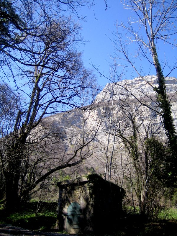 #1 Saint Eynard : C Saint Eynard : C'est le printemps